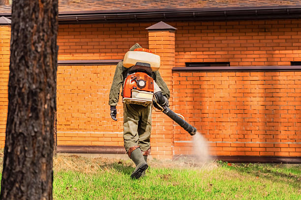 Bed Bug Clearance Verification and Documentation in Plain City